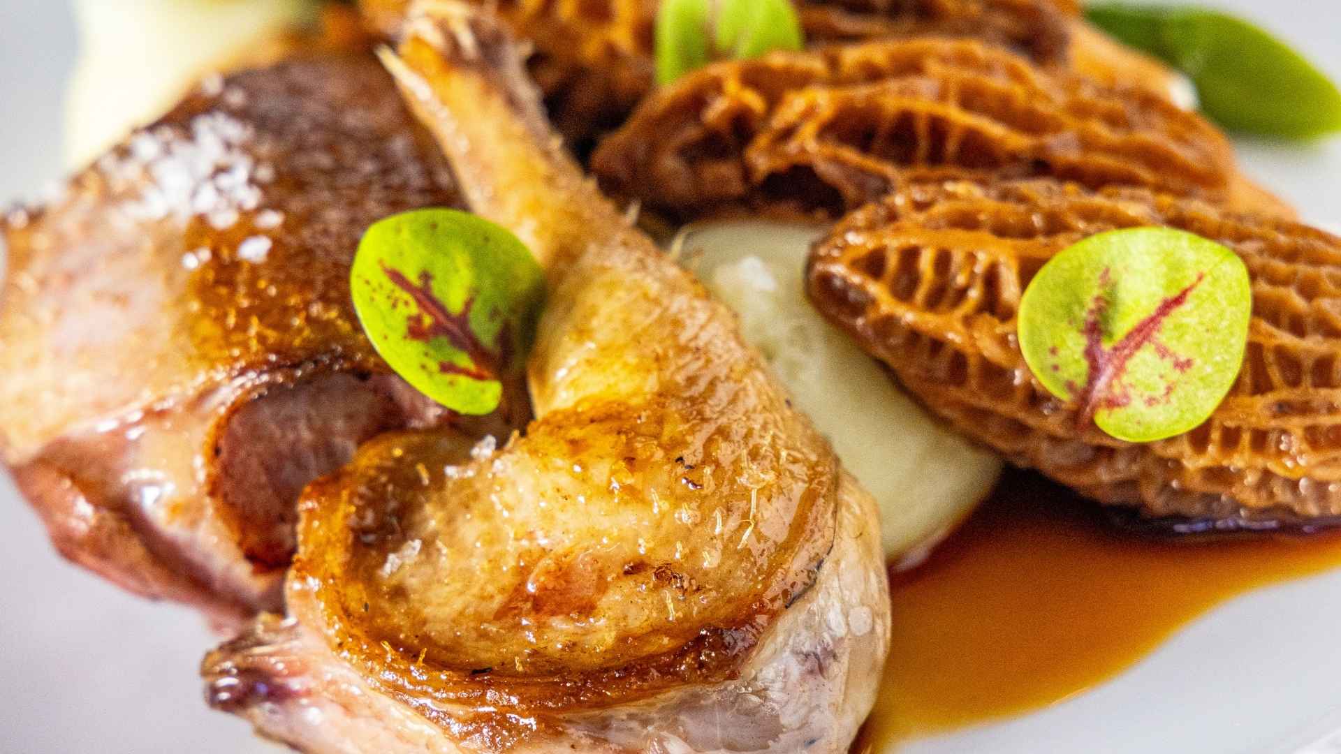 caille - Benjamin le moal - morilles luxe