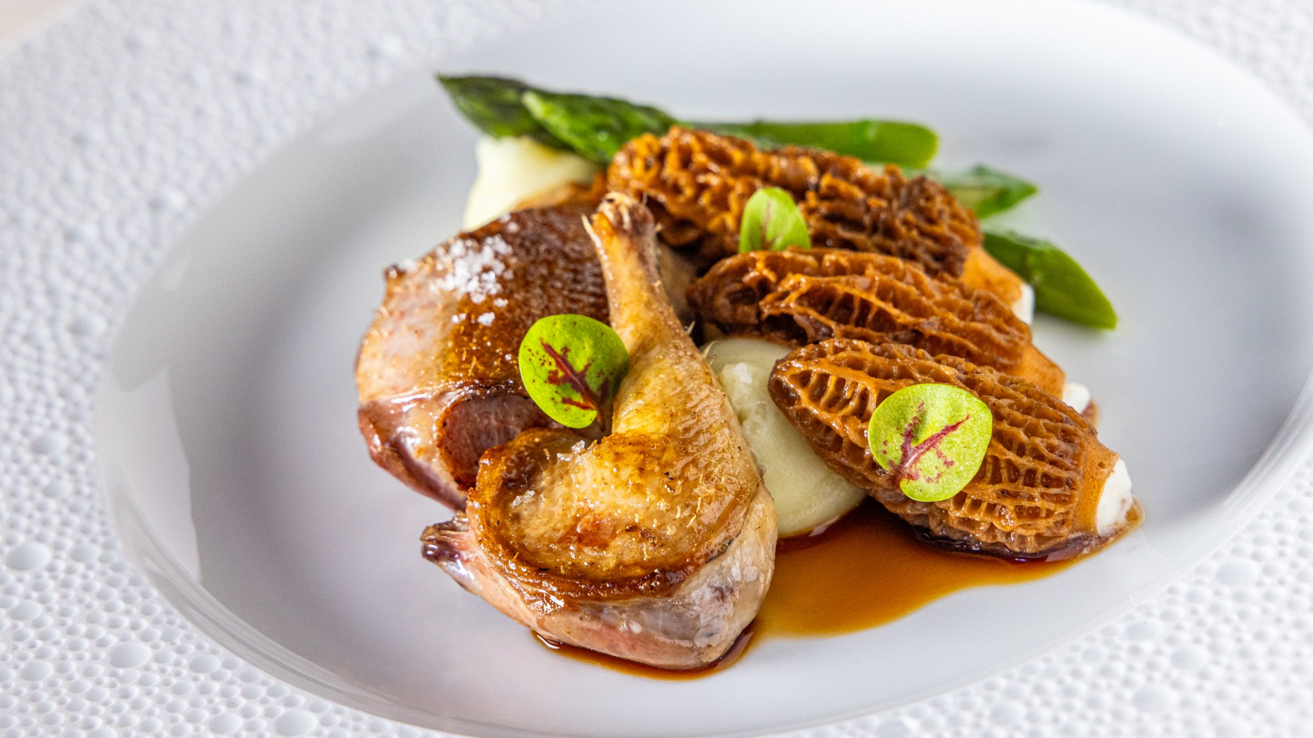 2511-BEN LEMOAL-Culinaire-22